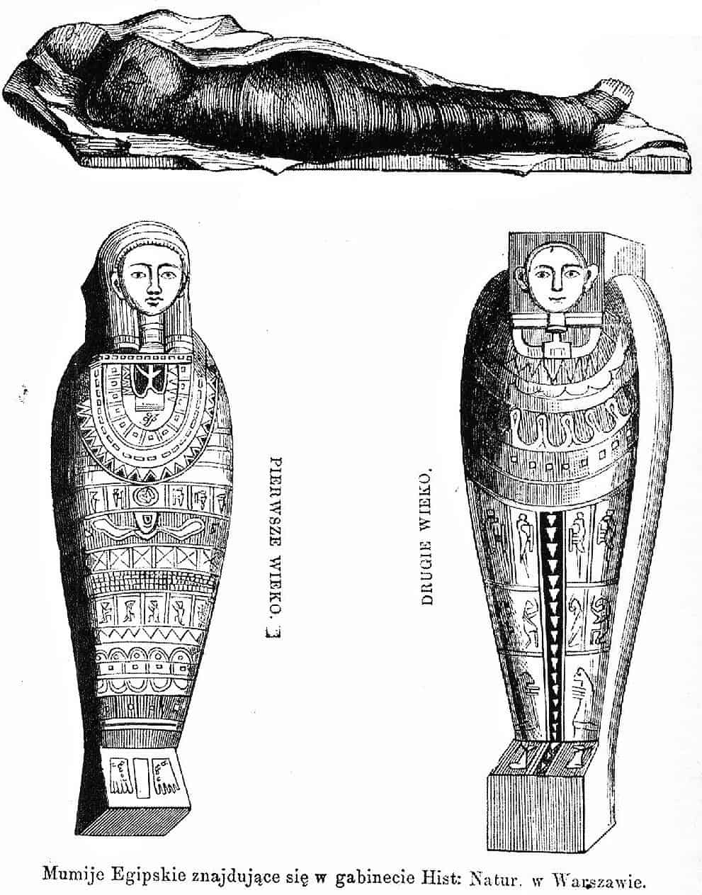 Grafika, na której widać mumię i dwa sarkofagi