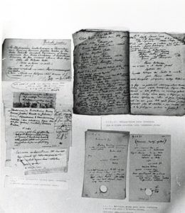 Luźno rozłożone kartki z odręcznymi notatkami i zapisami Karola Estreichera.