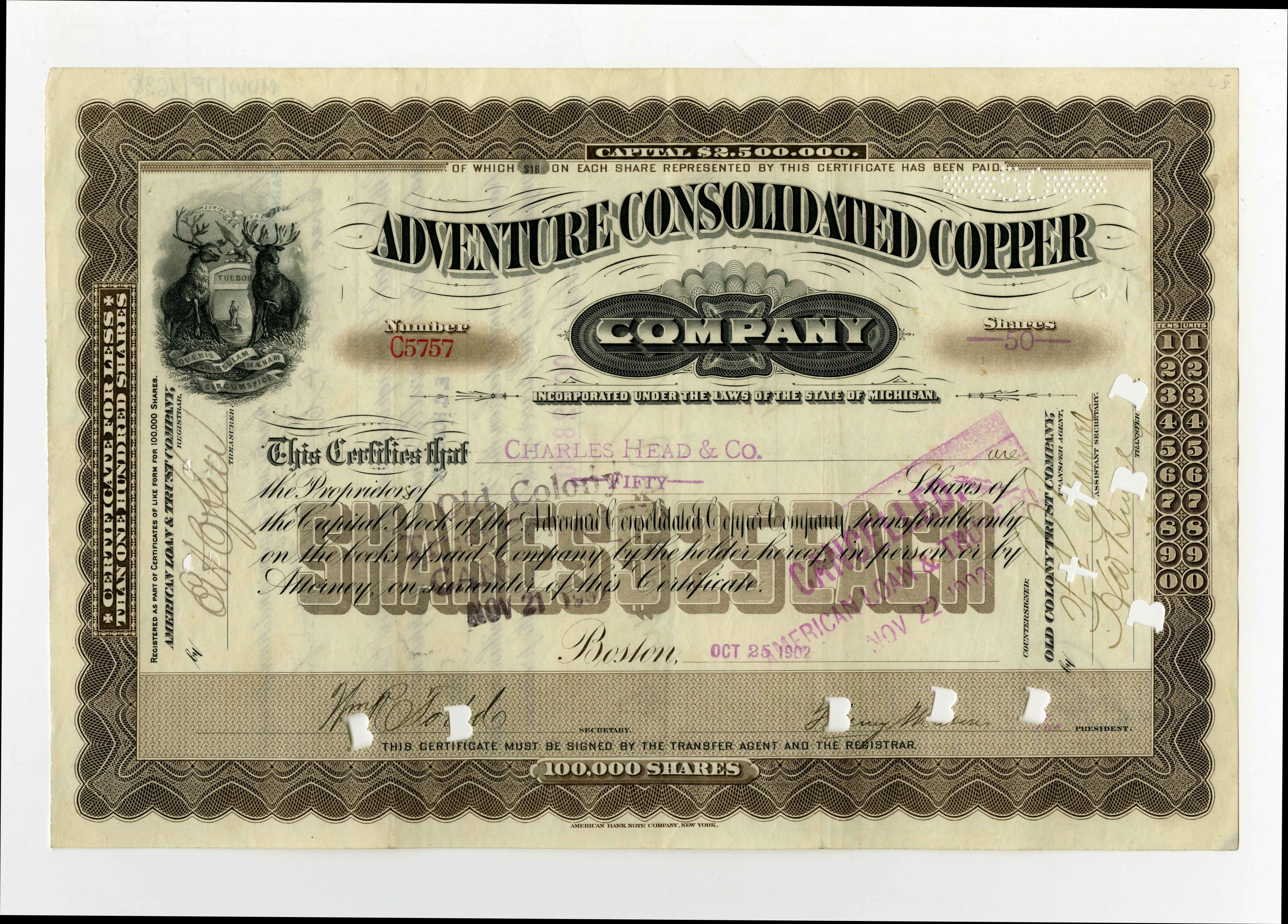50 akcji Adventure Consolidated Copper Company 25 października 1902 roku.
